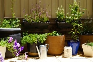 DIY Rustic Herb Garden!