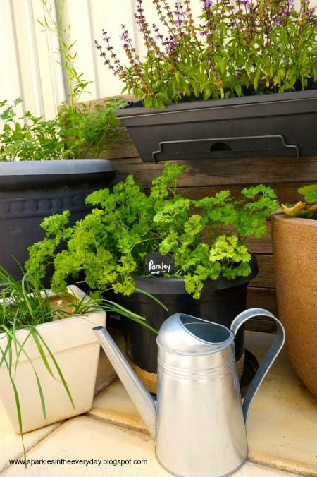 tips for a rustic herb garden