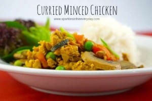 Curried Minced Chicken