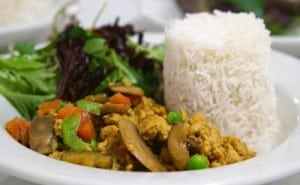 Curried Minced Chicken with Rice