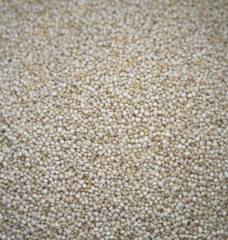 Quinoa seed for Moroccan Quinoa and Roasted Vegetables