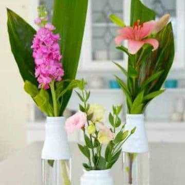 flower and recycled bottles for beautiful vases