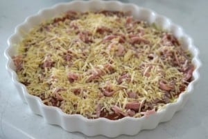 Cheese layer for Gluten Free 5 layer Dip