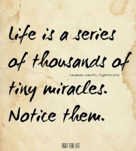 Life is a series of tiny miracles!