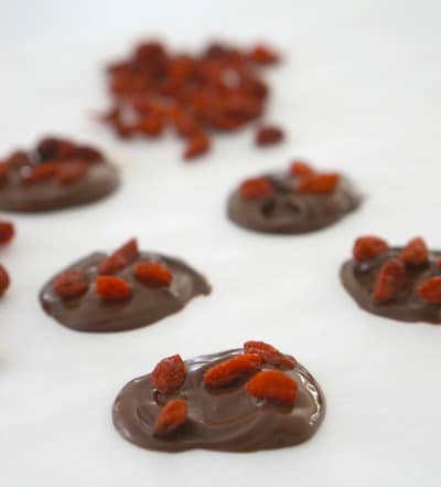 Gluten free snack ideas - Dark Chocolate and Goji Berries (GF)