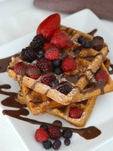 Gluten Free Egg Free Chocolate Waffles ...delicious