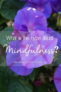 What is the hype about mindfulness
