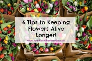 6 tips to keeping flowers alive longer!