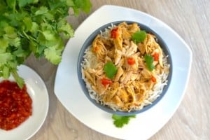 A bowl of Gluten Free Slow Cooker Asian Shredded Chicken