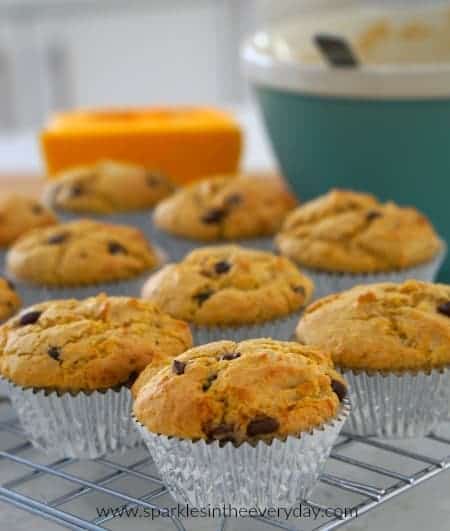 Delicious Australian Pumpkin and Chocolate Chip Muffins (GF)!