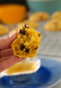 Delicious Australian Pumpkin and Chocolate Chip Muffins! (GF)