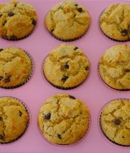 Fresh from the oven...Gluten Free Australian Pumpkin and Chocolate Chip Muffins