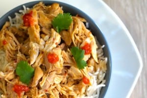 Gluten Free Slow Cooker Asian Shredded Chicken