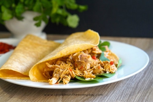 Gluten Free Slow Cooker Asian Shredded Chicken Wrap with Spinach!