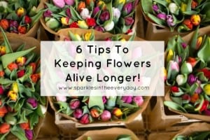 6 tips to keeping flowers alive longer!