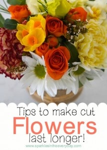 Tips to make cut flowers last longer!