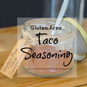 Gluten Free Taco Seasoning - Homemade