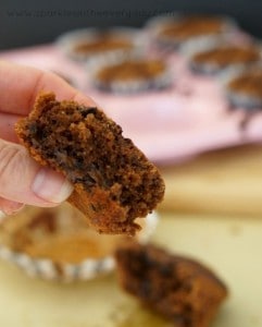 Delicious and Easy Vegan, Gluten Free Chocolate Muffins