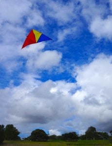 Flying a Kite - a great way to make everyday more awesome!