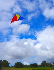 Fly a Kite - Ways to make everyday more awesome!