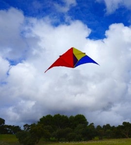 Flying a kite! The tips to making everyday more awesome!