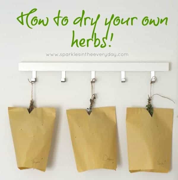 How to dry herbs at home the easy way! 