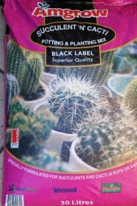 Succulent Potting Mix for the Tips to growing succulents inside!